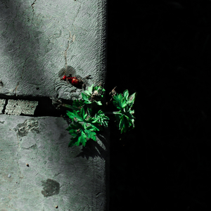 把校花🌸吊起来揉搓双乳兔女郎
