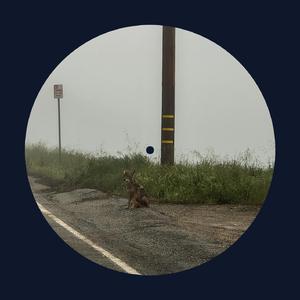 把校花🌸吊起来揉搓双乳兔女郎
