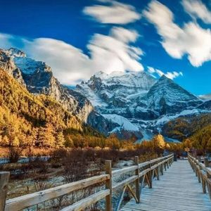 把校花🌸吊起来揉搓双乳兔女郎
